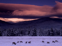 Winter comes to Rocky Mountain National Park, Colorado