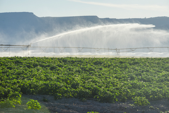 Pivot Irrigation